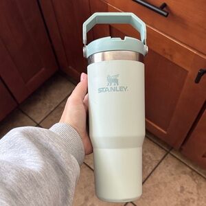 Stanley Green Ice Flow 2.0 Flip Straw Tumbler 30 oz